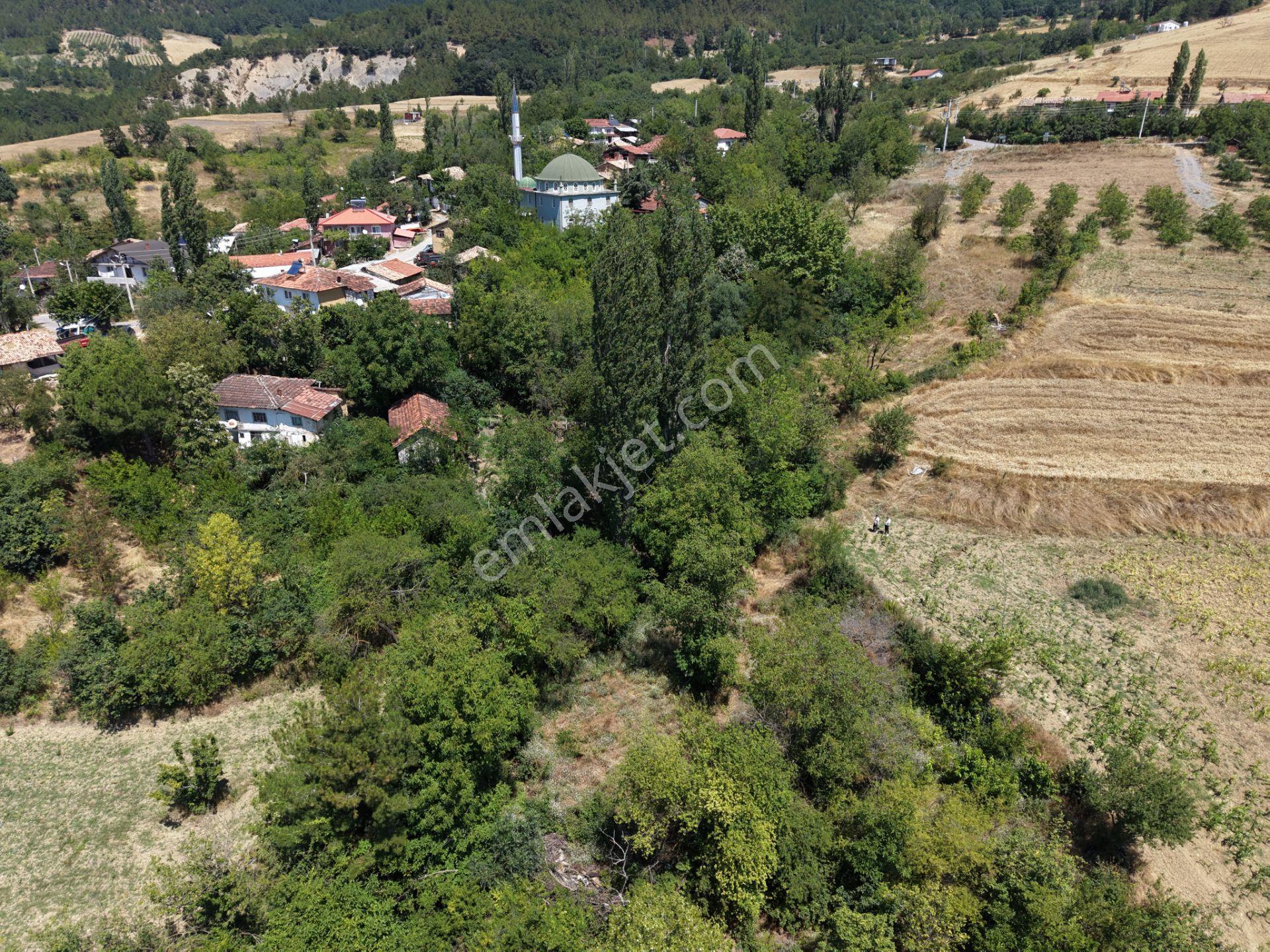 Geyve Poydularda Çok Uygun Fiyata Satılık İmarlı Arsa — fotoğraf 10