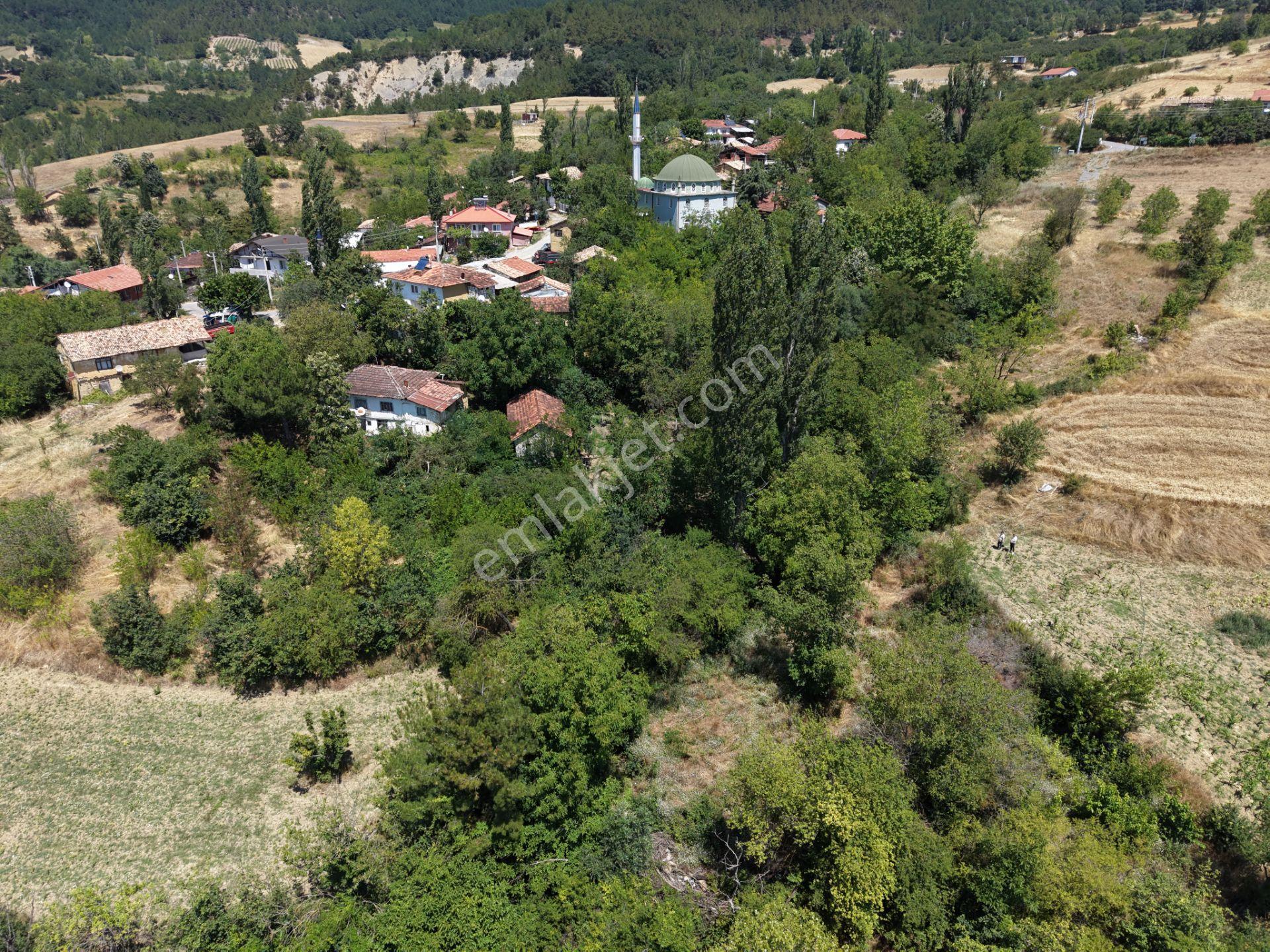 Geyve Poydularda Çok Uygun Fiyata Satılık İmarlı Arsa — fotoğraf 11