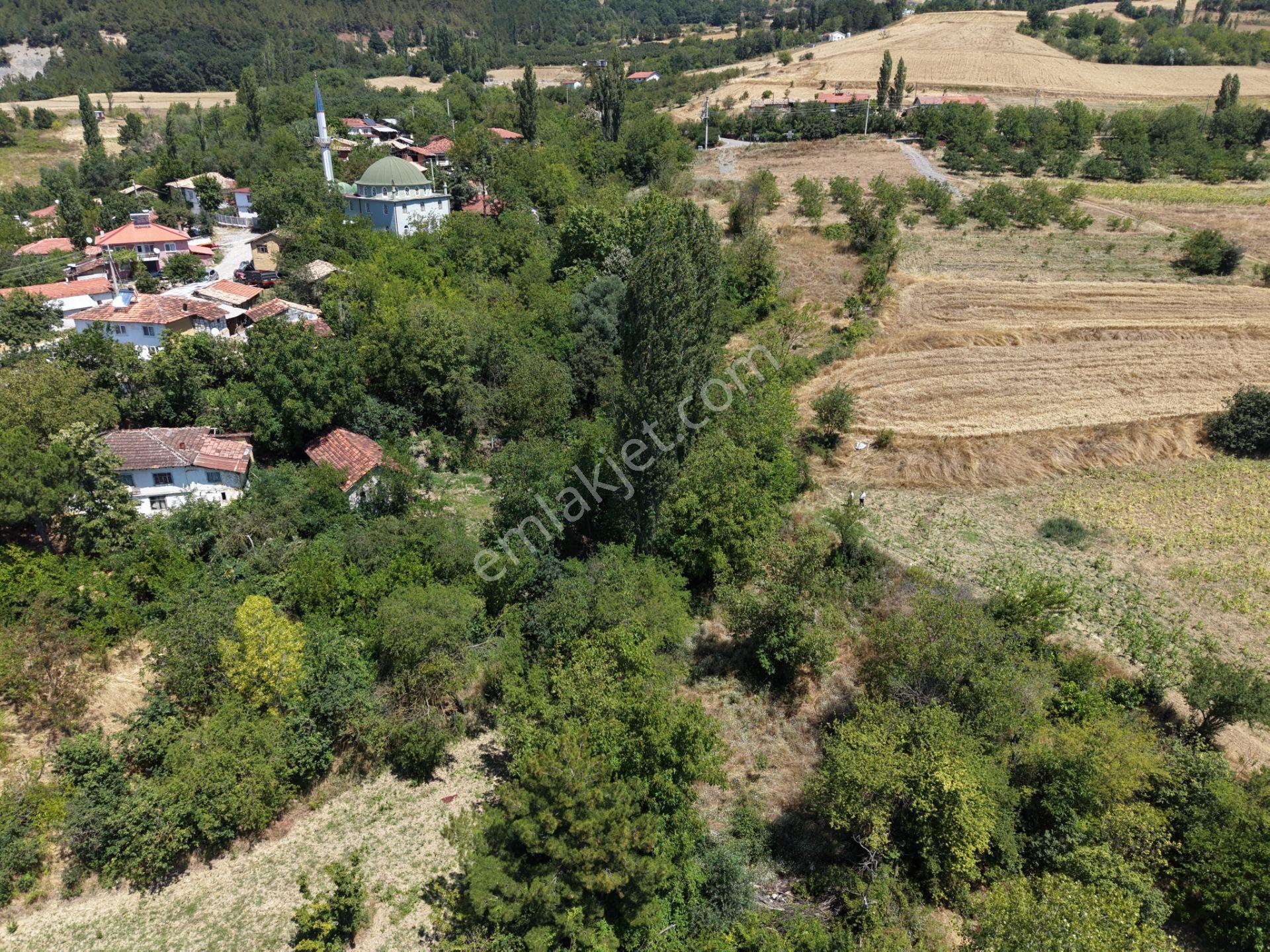 Geyve Poydularda Çok Uygun Fiyata Satılık İmarlı Arsa — fotoğraf 12