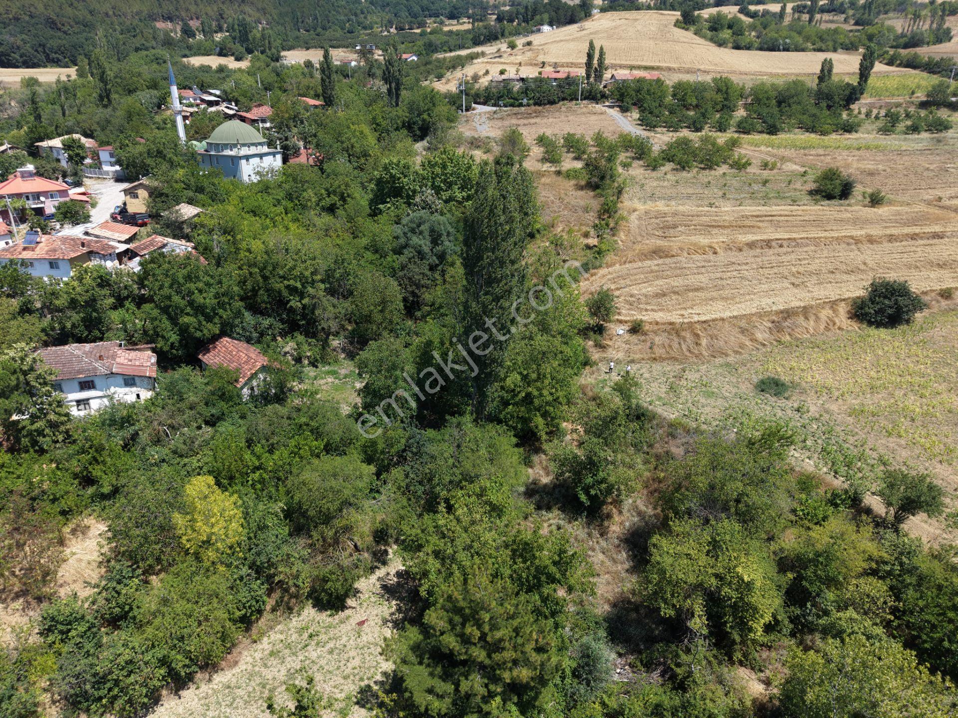 Geyve Poydularda Çok Uygun Fiyata Satılık İmarlı Arsa — fotoğraf 13