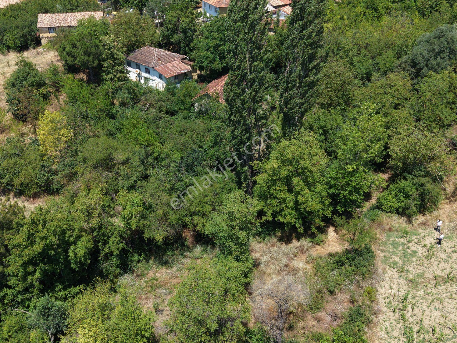Geyve Poydularda Çok Uygun Fiyata Satılık İmarlı Arsa — fotoğraf 18