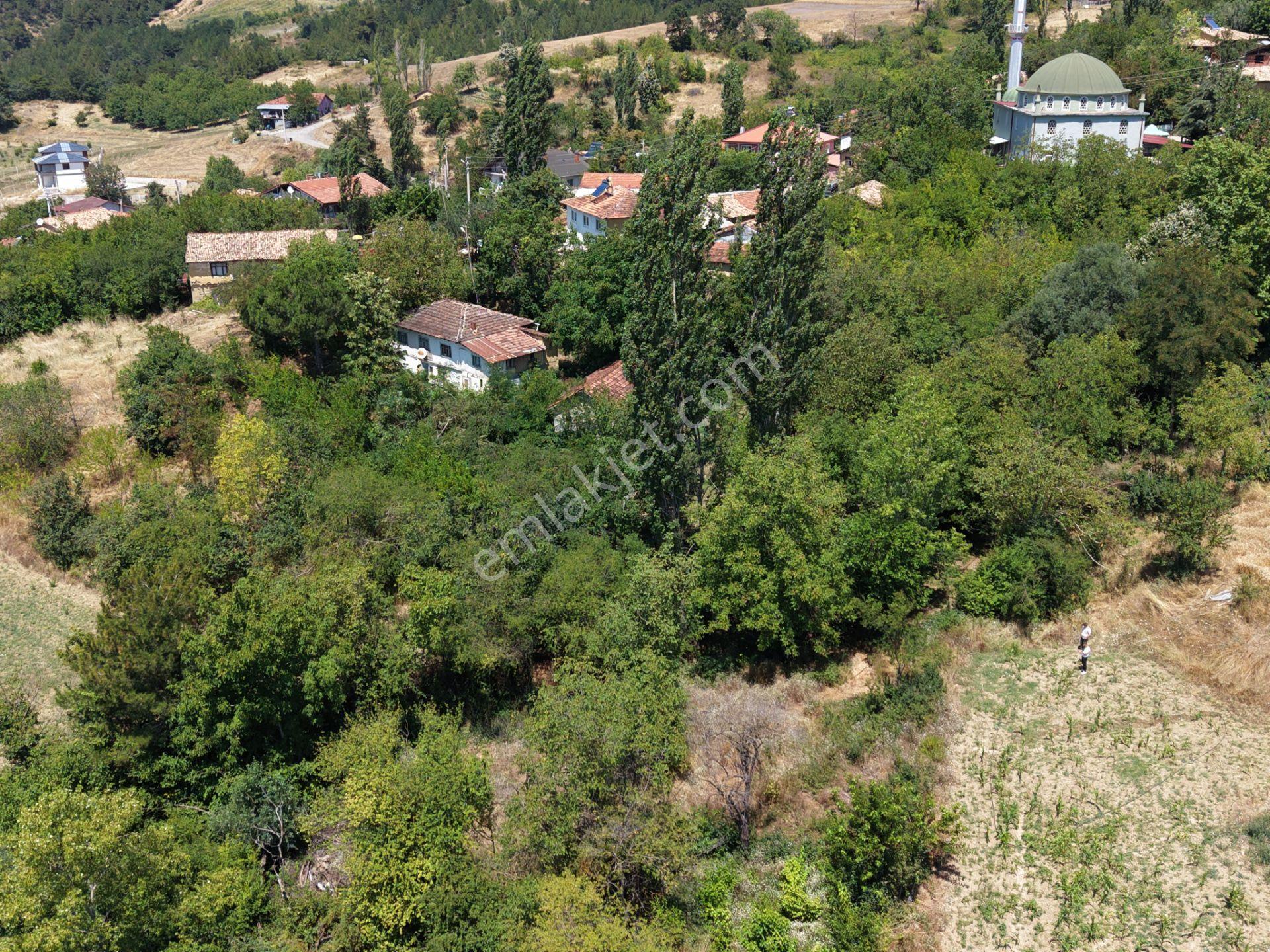 Geyve Poydularda Çok Uygun Fiyata Satılık İmarlı Arsa — fotoğraf 19