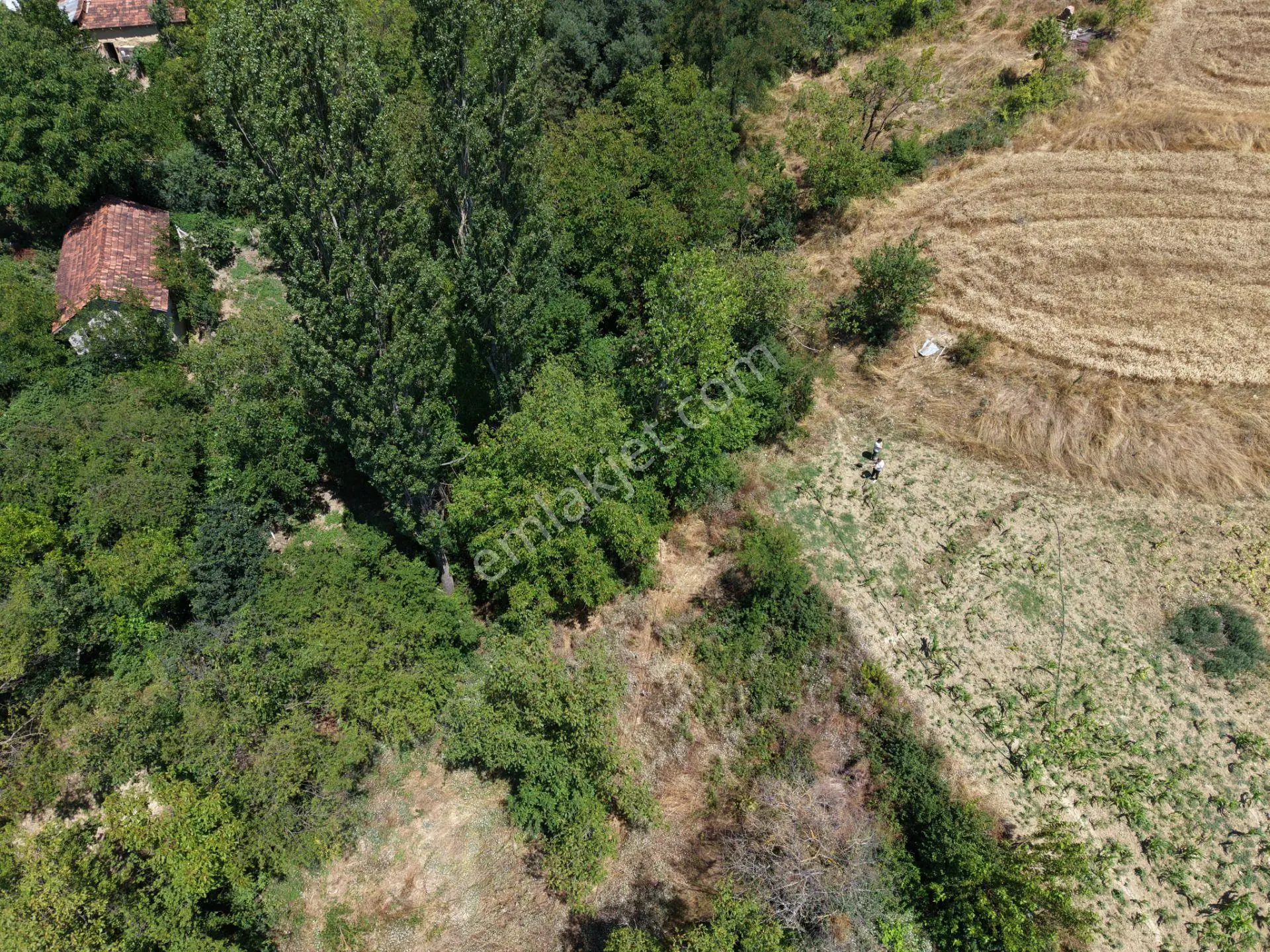 Geyve Poydularda Çok Uygun Fiyata Satılık İmarlı Arsa — fotoğraf 21