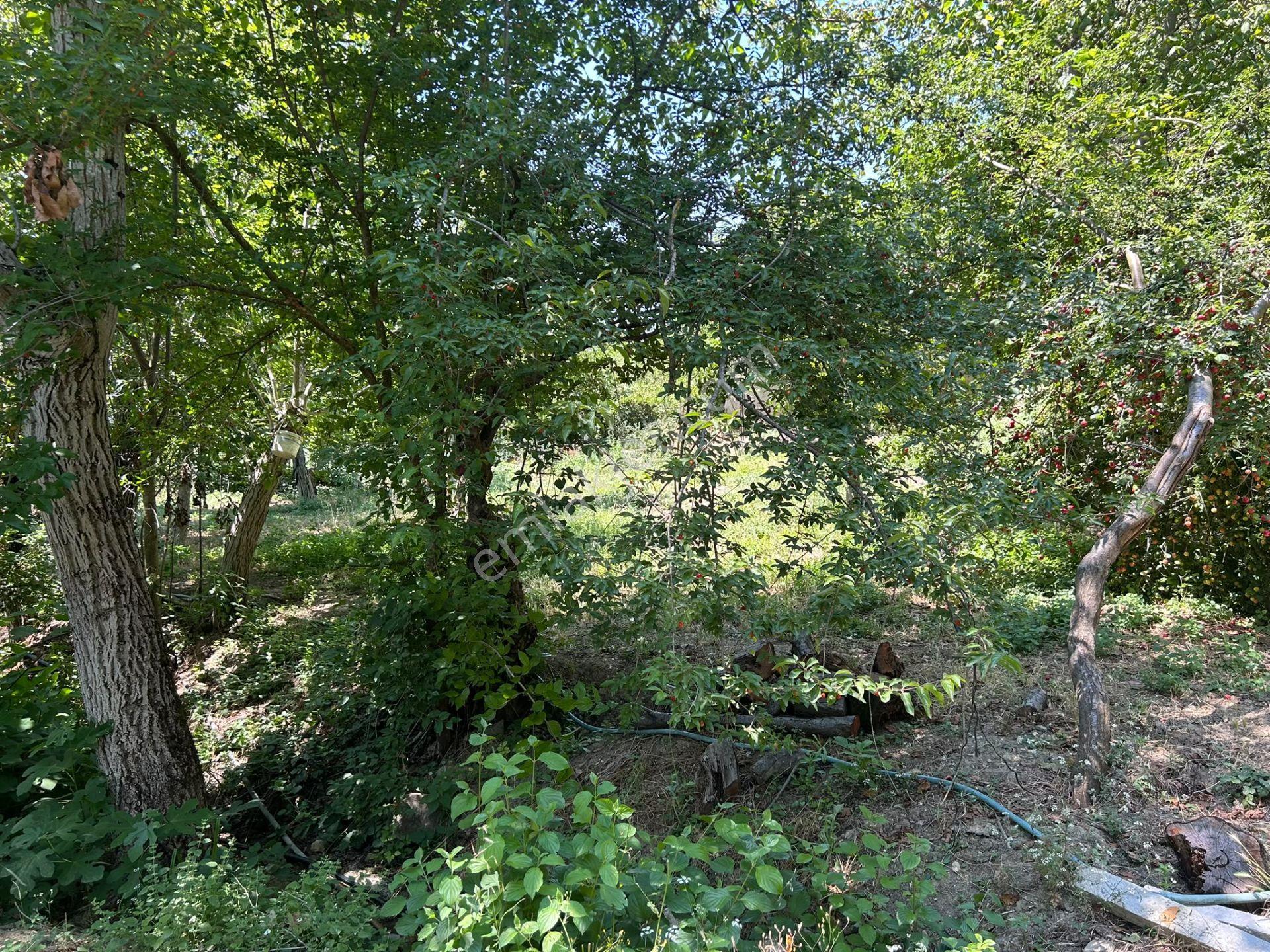 Geyve Poydularda Çok Uygun Fiyata Satılık İmarlı Arsa — fotoğraf 23