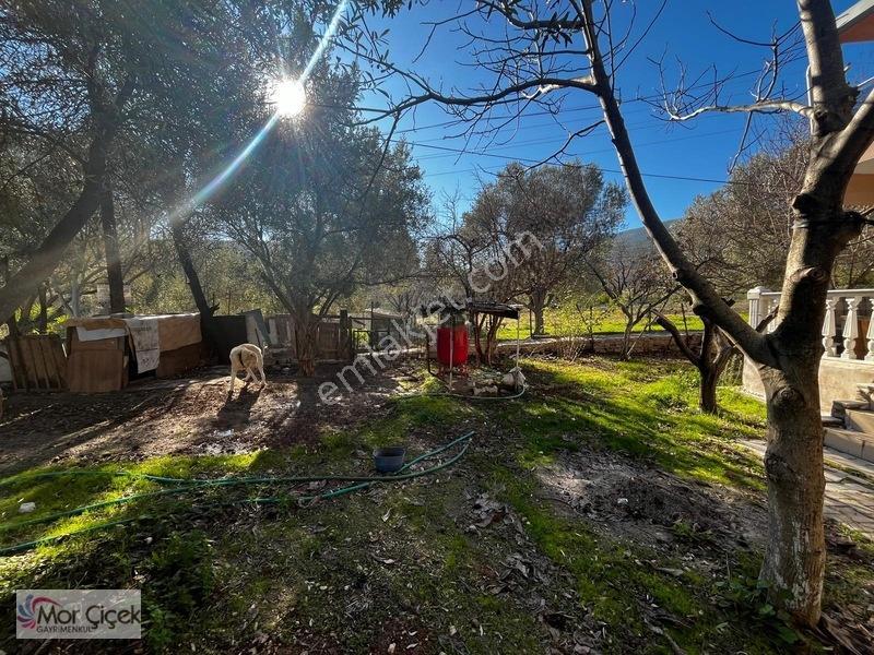 Morçiçek'ten Mordoğan'da Geniş Bahçeli Müstakil Ev — fotoğraf 18