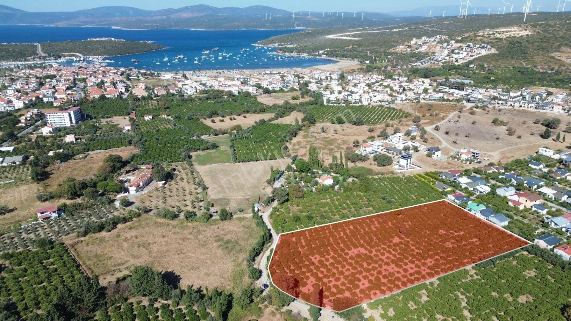 Seferihisar Sığacık Karagöl – Taşdibi Mevkiinde 6.474 M² Mandalina Bahçesi — fotoğraf 2