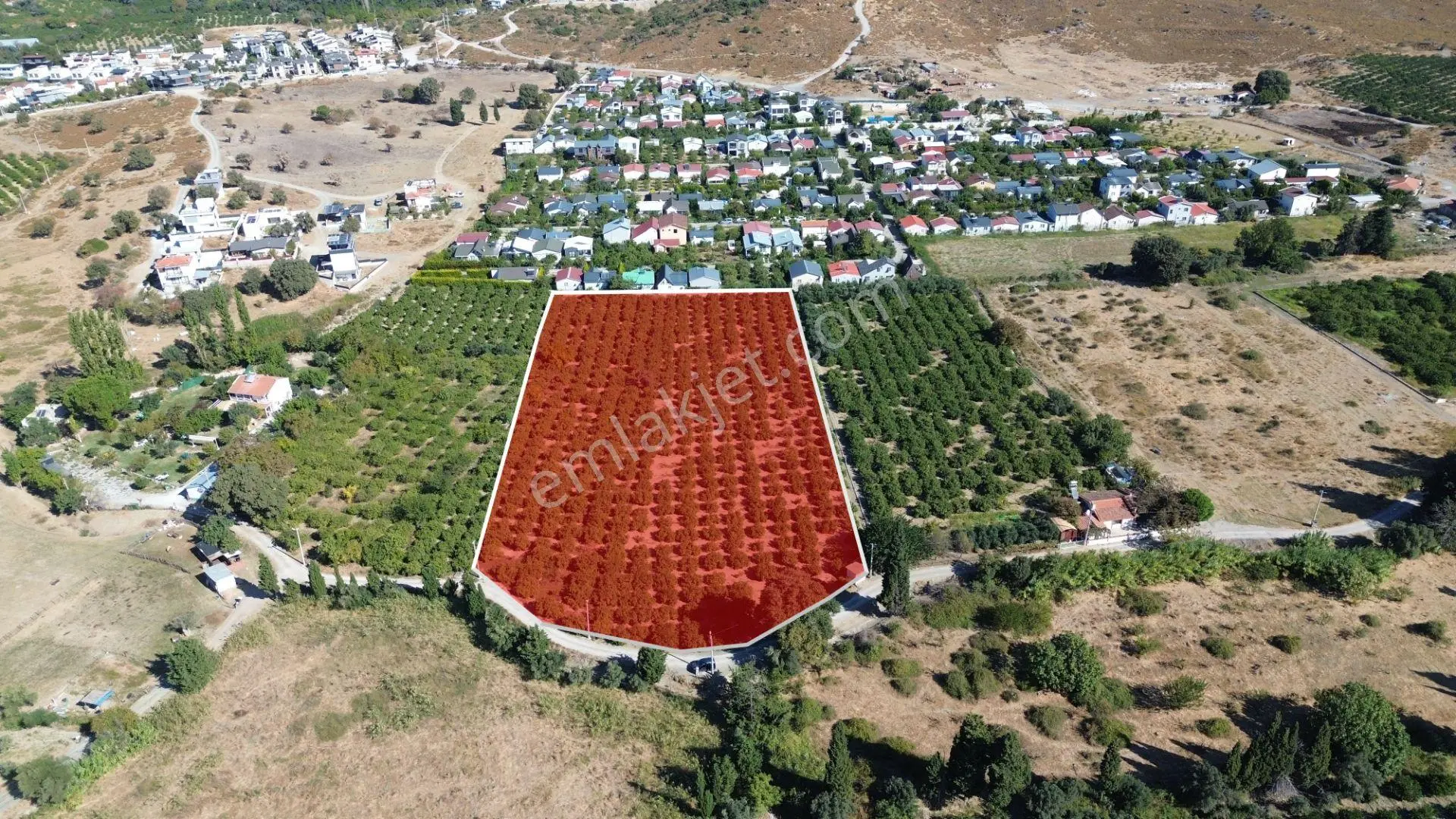 Seferihisar Sığacık Karagöl – Taşdibi Mevkiinde 6.474 M² Mandalina Bahçesi — fotoğraf 4