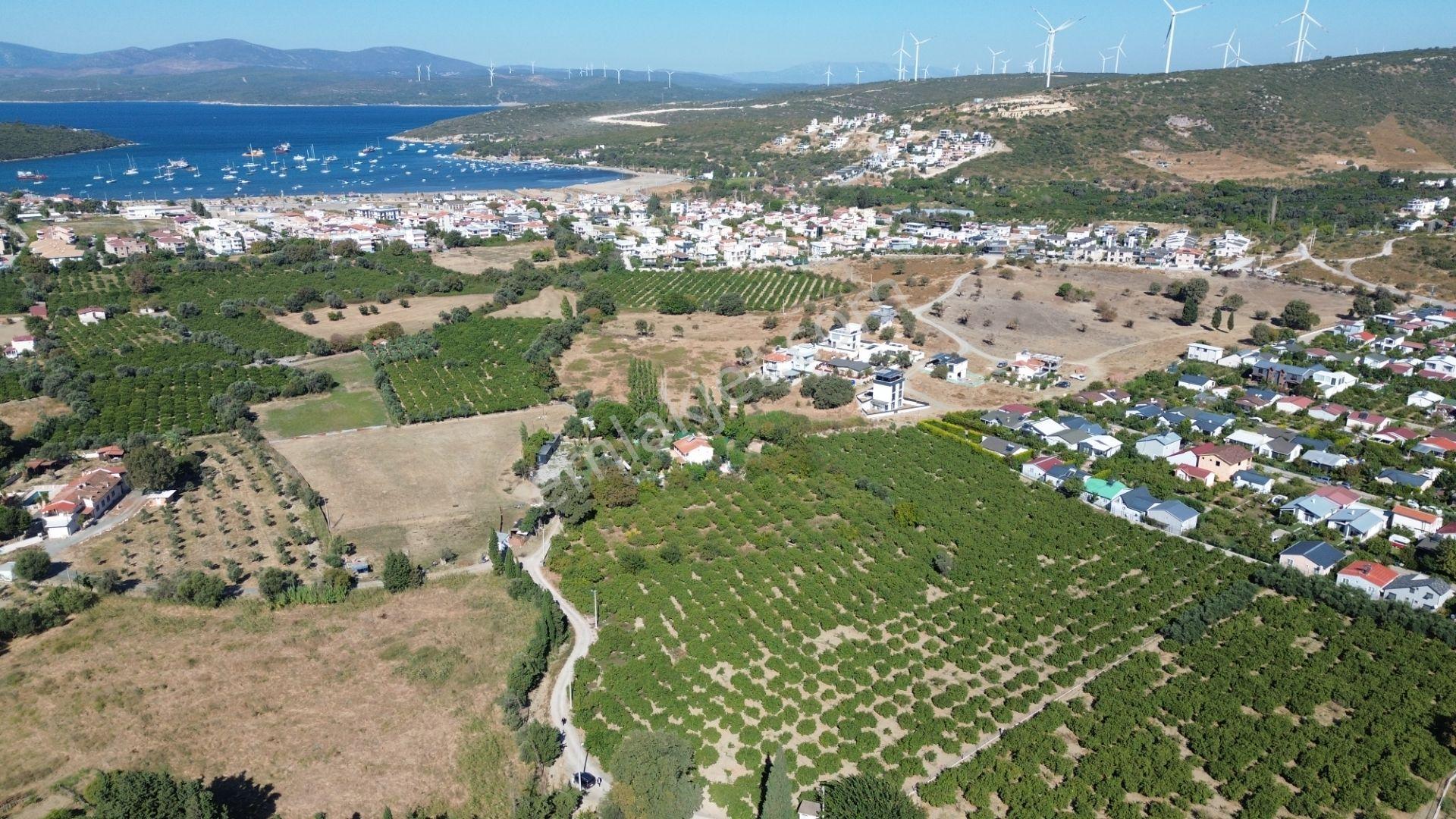 Seferihisar Sığacık Karagöl – Taşdibi Mevkiinde 6.474 M² Mandalina Bahçesi — fotoğraf 9