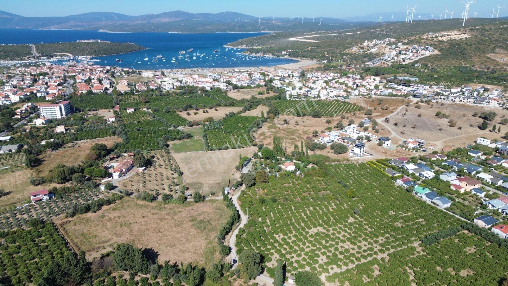 Seferihisar Sığacık Karagöl – Taşdibi Mevkiinde 6.474 M² Mandalina Bahçesi — fotoğraf 14