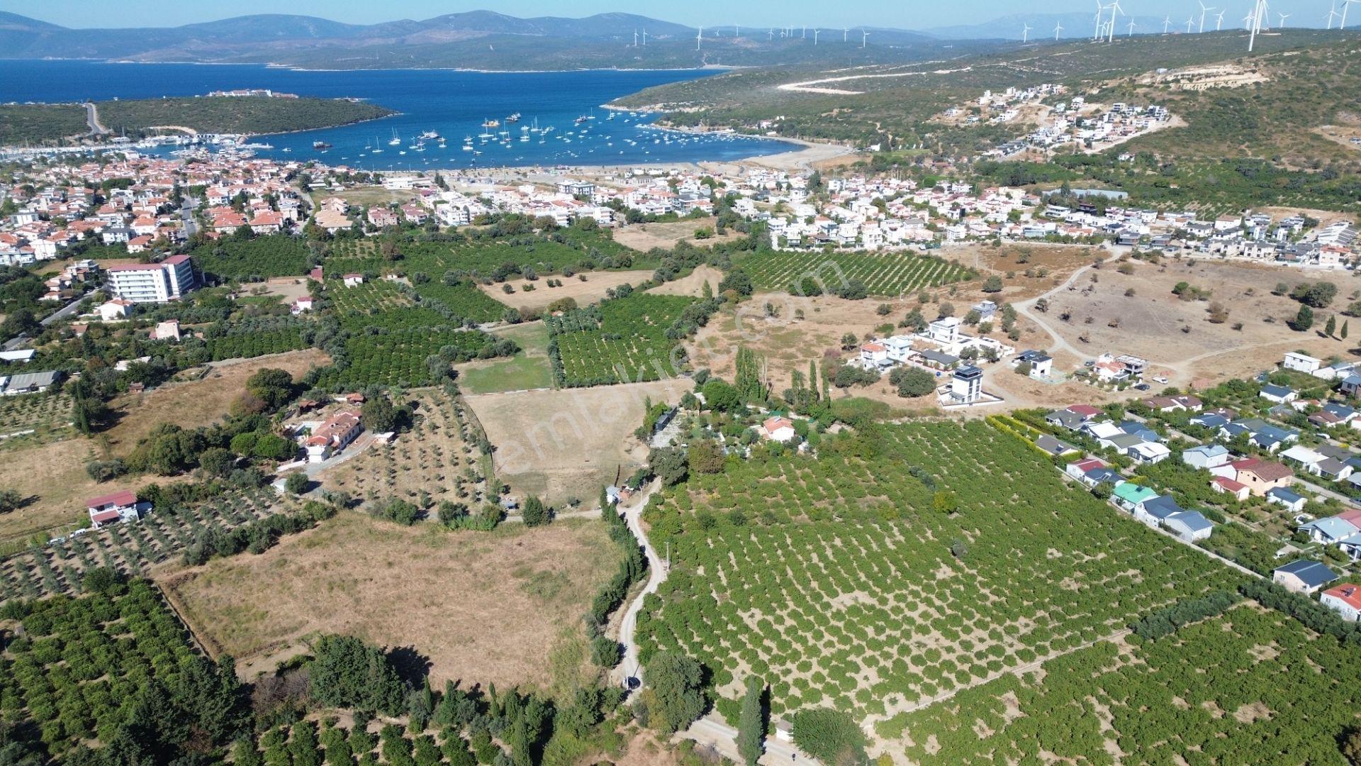Seferihisar Sığacık Karagöl – Taşdibi Mevkiinde 6.474 M² Mandalina Bahçesi — fotoğraf 15