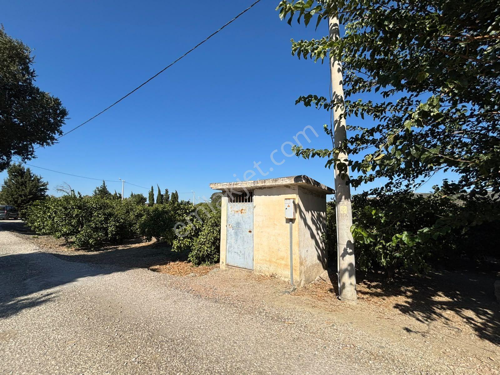 Seferihisar Sığacık Karagöl – Taşdibi Mevkiinde 6.474 M² Mandalina Bahçesi — fotoğraf 22