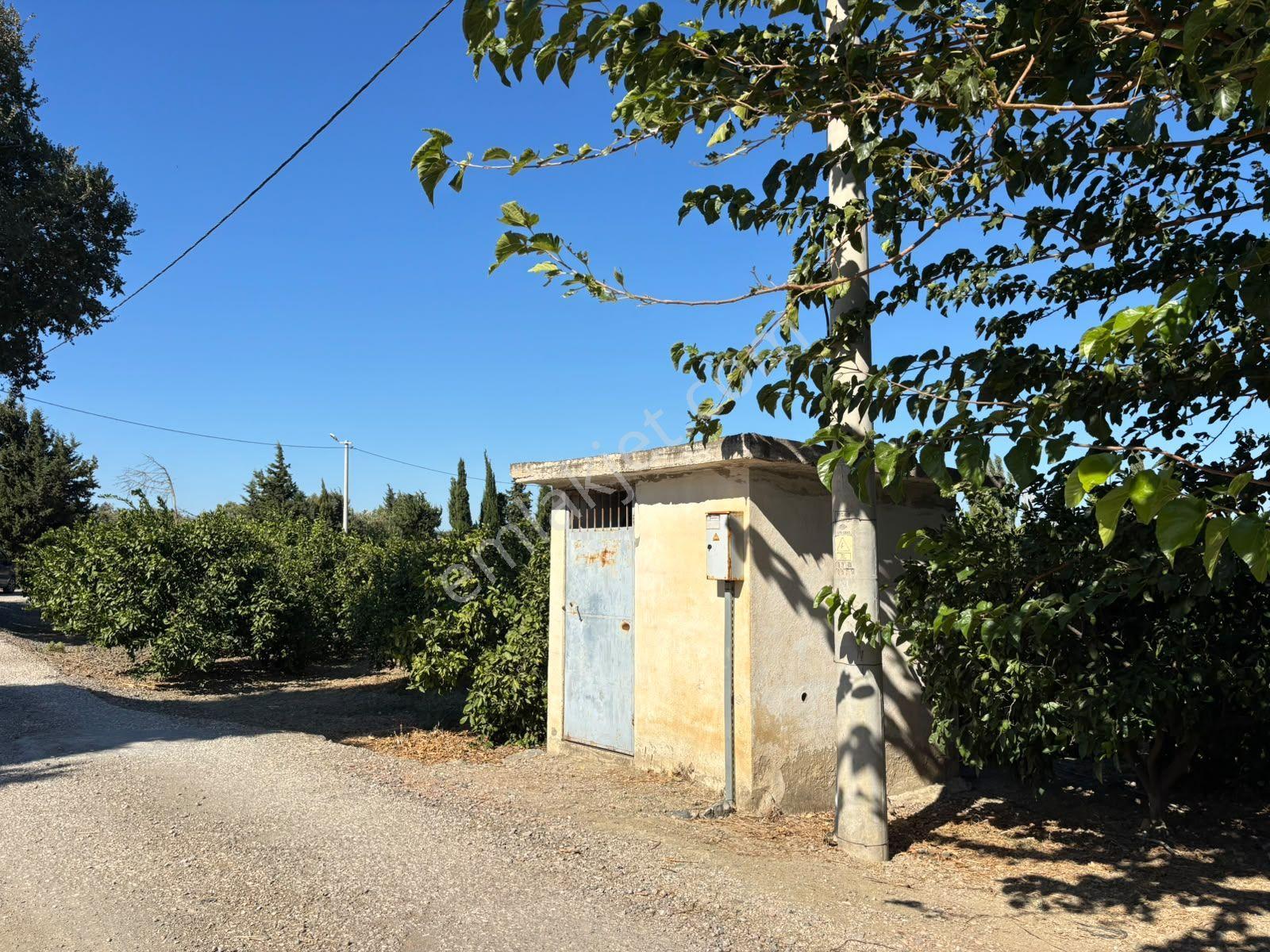 Seferihisar Sığacık Karagöl – Taşdibi Mevkiinde 6.474 M² Mandalina Bahçesi — fotoğraf 23