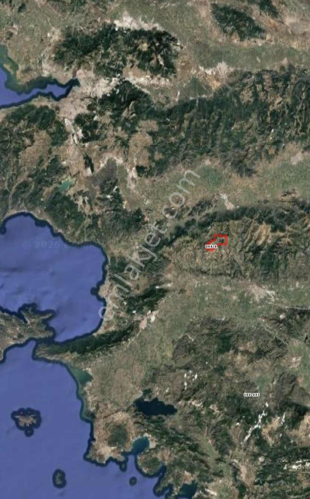 İzmir Tire Akmescitte 1.170 M² Satılık İncir Bahçesi