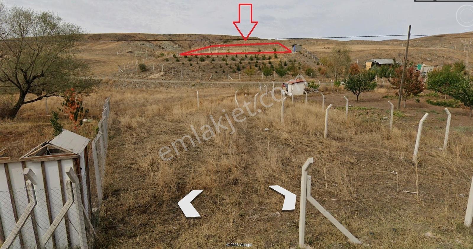Çankaya Tohumlarda 3052m2 Hisse Tapu Etrafı Çevrili Karadeniz Em — fotoğraf 4