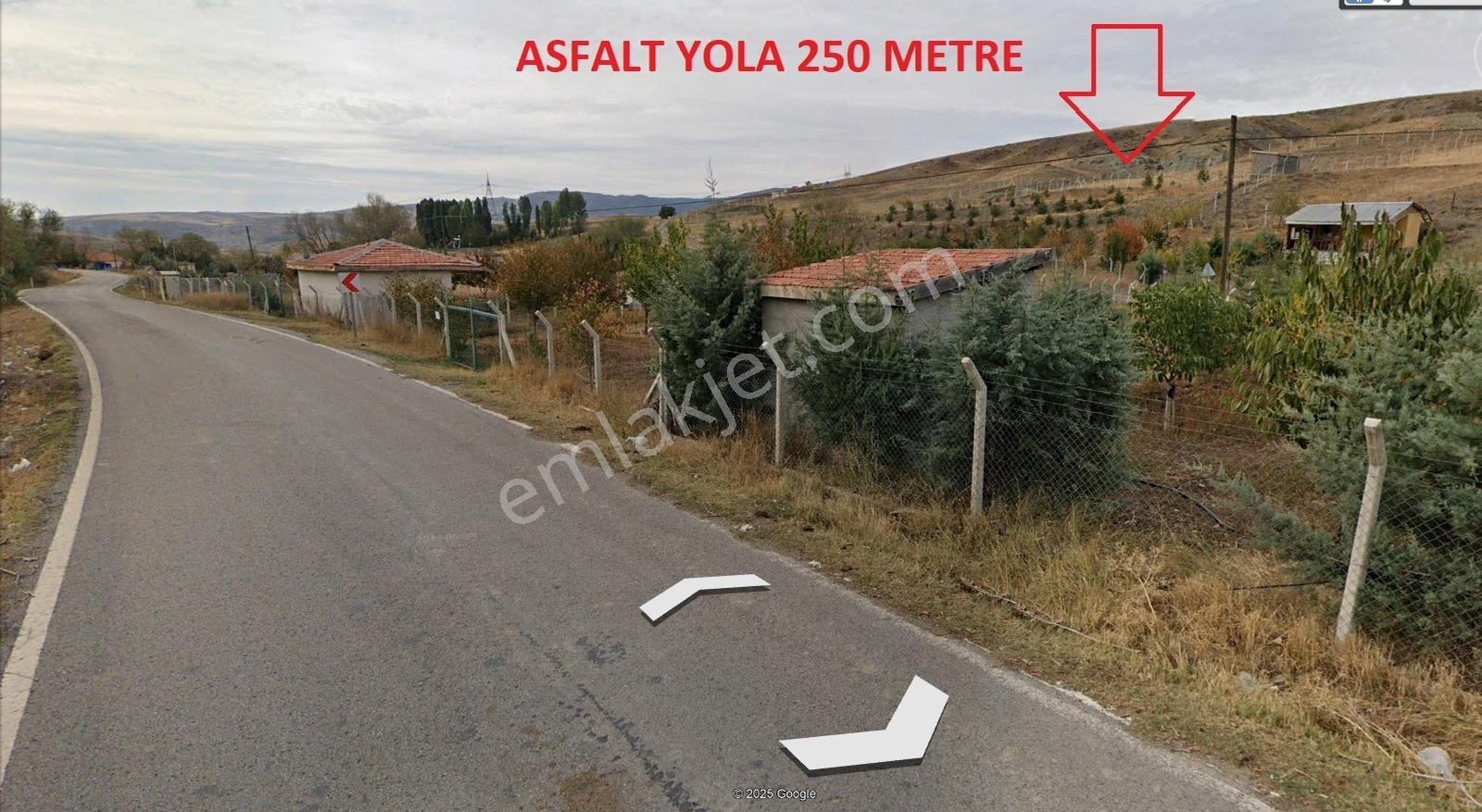 Çankaya Tohumlarda 3052m2 Hisse Tapu Etrafı Çevrili Karadeniz Em — fotoğraf 5