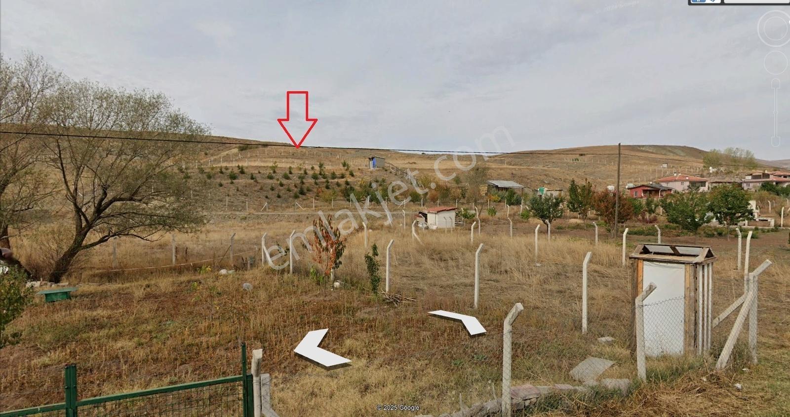 Çankaya Tohumlarda 3052m2 Hisse Tapu Etrafı Çevrili Karadeniz Em — fotoğraf 6