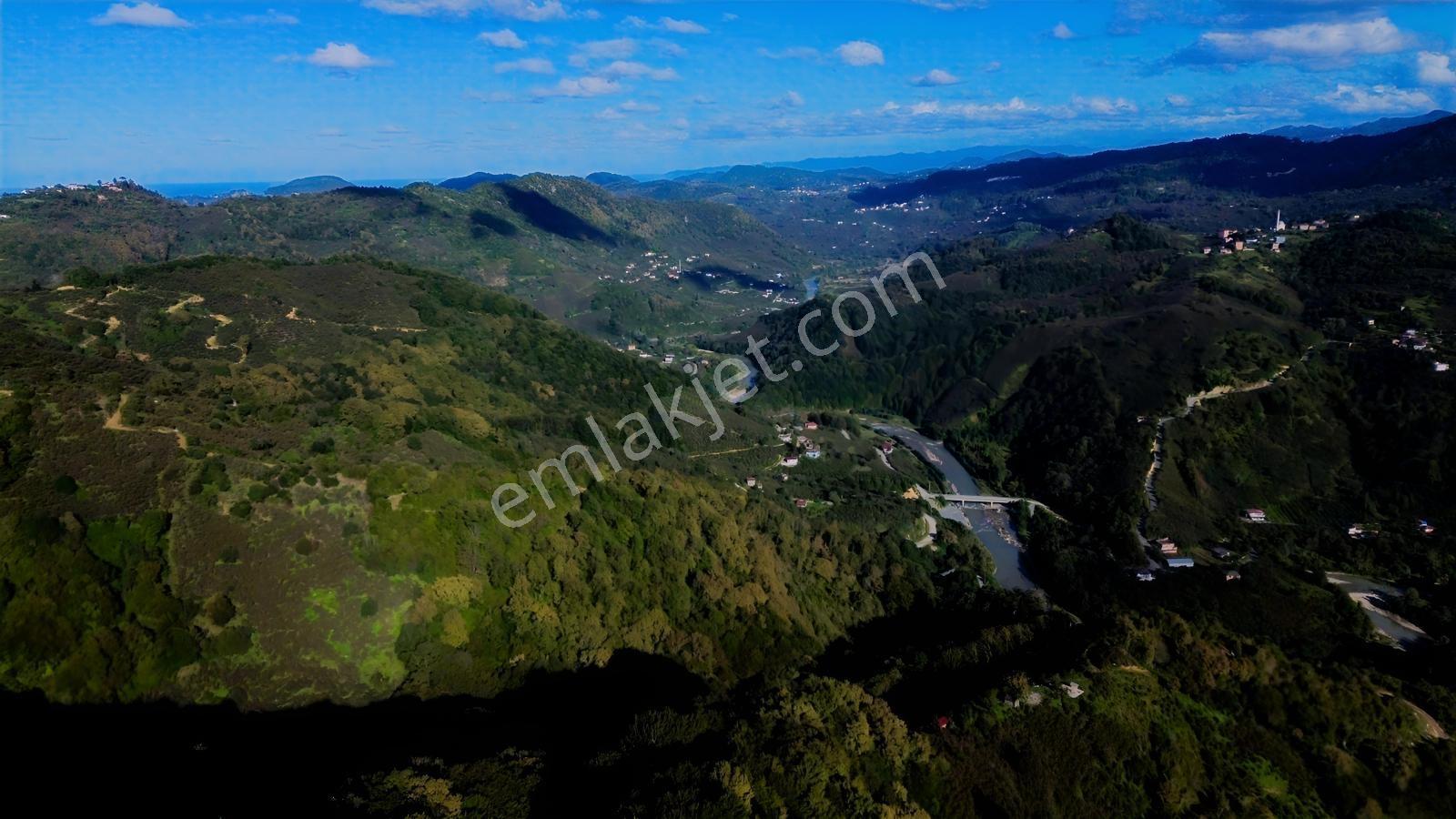 Revizyon'dan Doğa'nın İçerisinde Sakin Bir Yaşam!! — fotoğraf 6