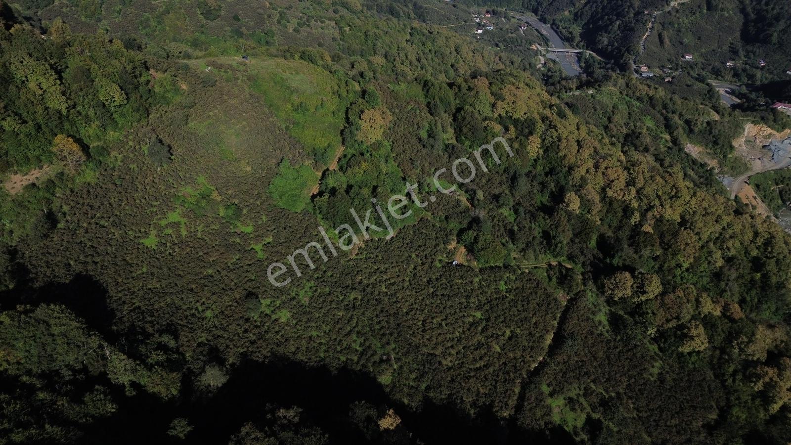 Revizyon'dan Doğa'nın İçerisinde Sakin Bir Yaşam!! — fotoğraf 22