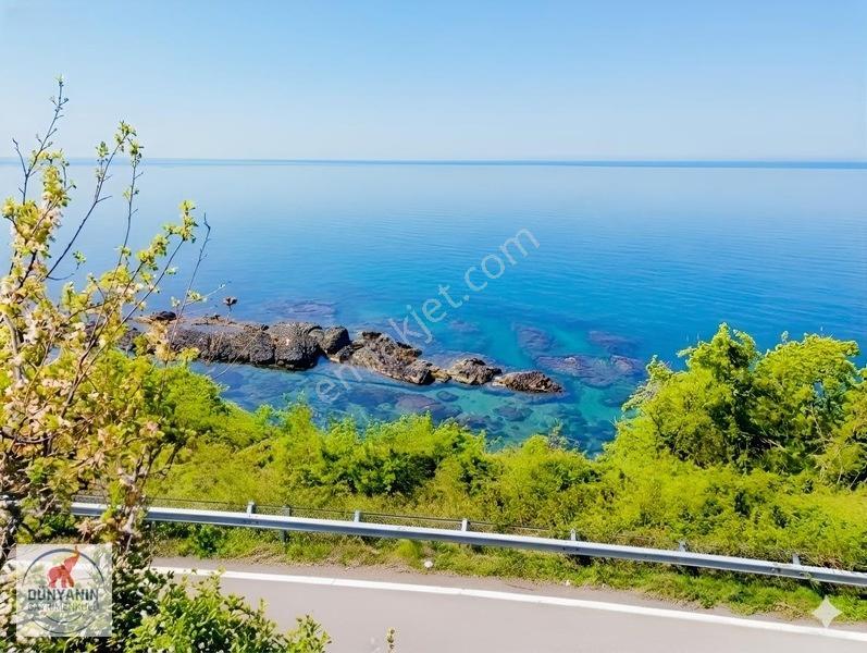 Ordu Perşembe Medreseönü Müthiş Karadeniz Manzarası Satılık Arsa — fotoğraf 2