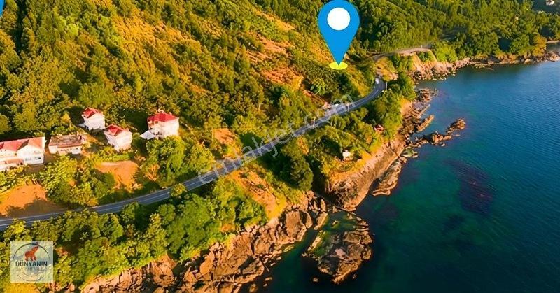 Ordu Perşembe Medreseönü Müthiş Karadeniz Manzarası Satılık Arsa — fotoğraf 3