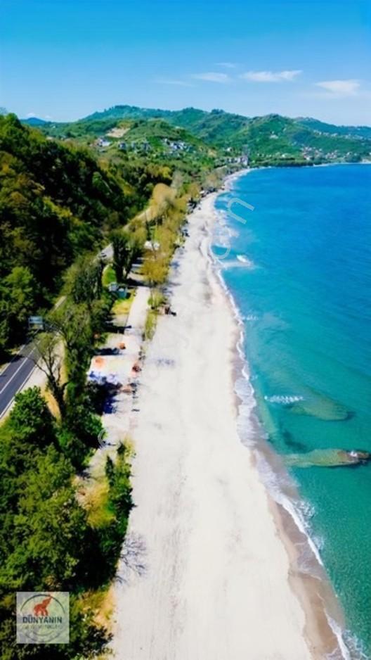 Ordu Perşembe Medreseönü Müthiş Karadeniz Manzarası Satılık Arsa — fotoğraf 6