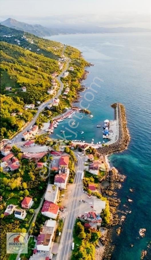 Ordu Perşembe Medreseönü Müthiş Karadeniz Manzarası Satılık Arsa — fotoğraf 7