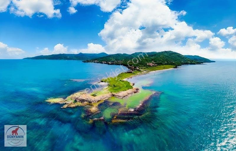 Ordu Perşembe Medreseönü Müthiş Karadeniz Manzarası Satılık Arsa — fotoğraf 8