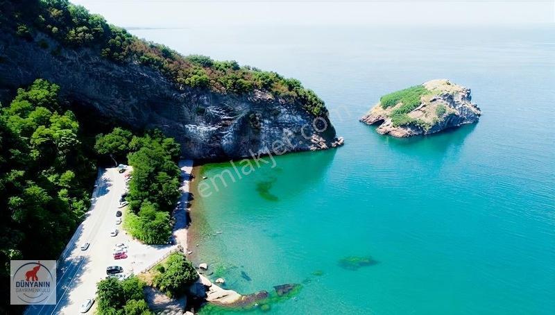 Ordu Perşembe Medreseönü Müthiş Karadeniz Manzarası Satılık Arsa — fotoğraf 9