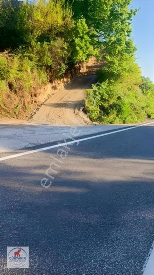 Ordu Perşembe Medreseönü Müthiş Karadeniz Manzarası Satılık Arsa — fotoğraf 11
