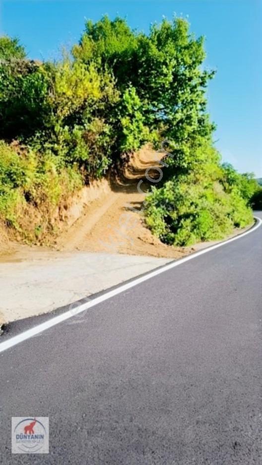 Ordu Perşembe Medreseönü Müthiş Karadeniz Manzarası Satılık Arsa — fotoğraf 12