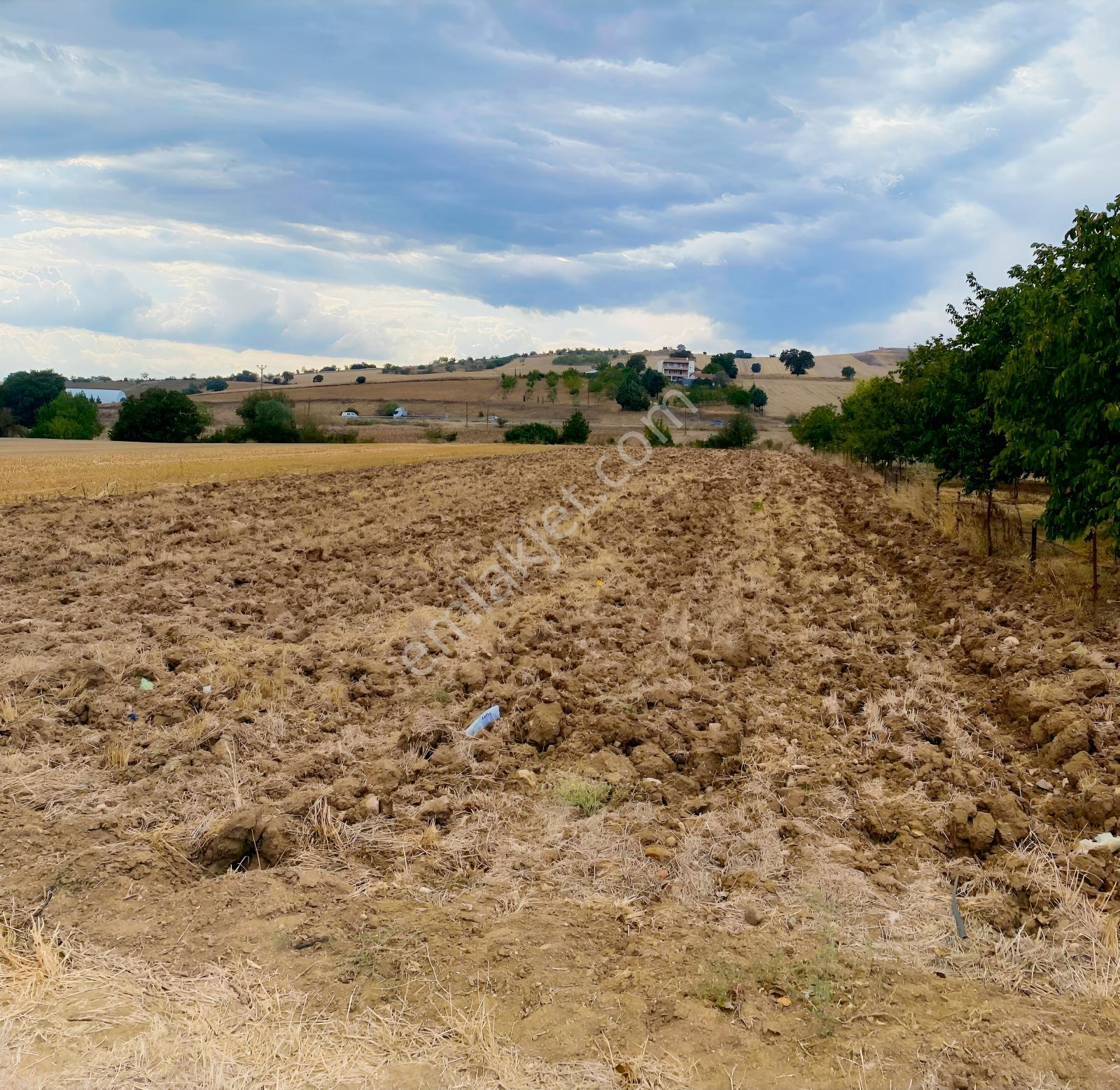 Bke Bursa Kılıç Tn Yenişehir Afşar Köyde Satılık 3.625m2 Tarla — fotoğraf 6