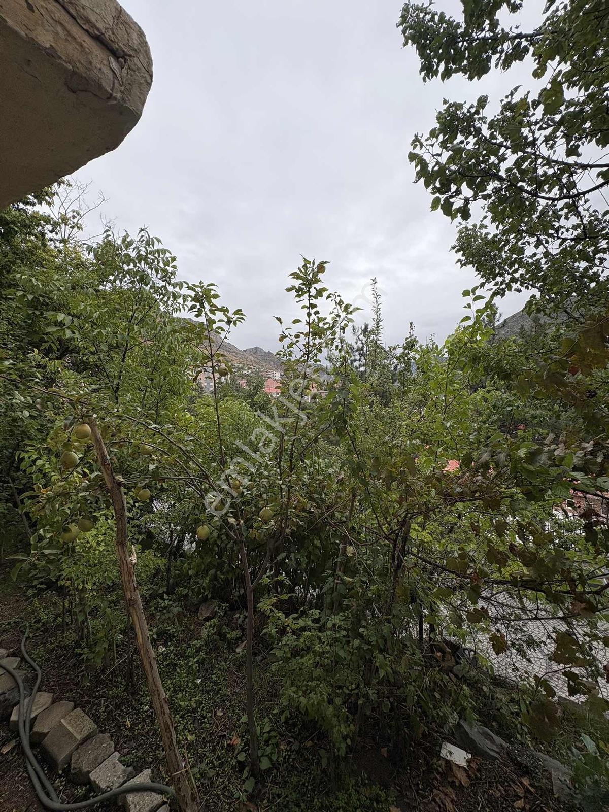 Okan Emlak'tan 255m² Arsa İçinde Yatırımlık Müstakil Ev — fotoğraf 15