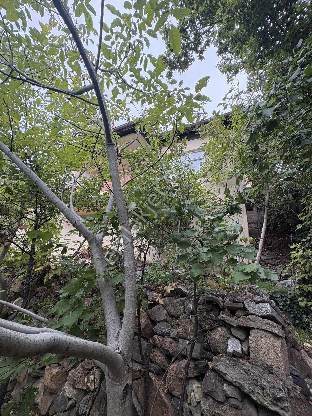 Okan Emlak'tan 255m² Arsa İçinde Yatırımlık Müstakil Ev — fotoğraf 16