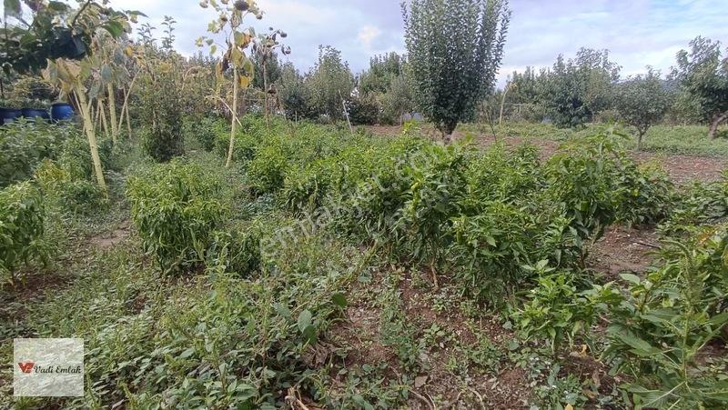 Günevi Yazıcıoğlu Mevki Satılık Tarla | Vadi Emlak — fotoğraf 6