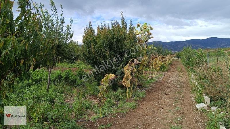 Günevi Yazıcıoğlu Mevki Satılık Tarla | Vadi Emlak — fotoğraf 10