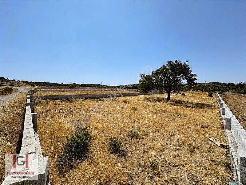 Yığınlıda Satılık 1600 M2 Etrafı Çevrili Bağevlik Arazi