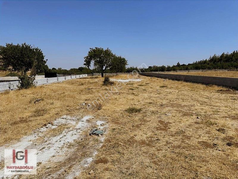 Yığınlıda Satılık 1600 M2 Etrafı Çevrili Bağevlik Arazi — fotoğraf 2