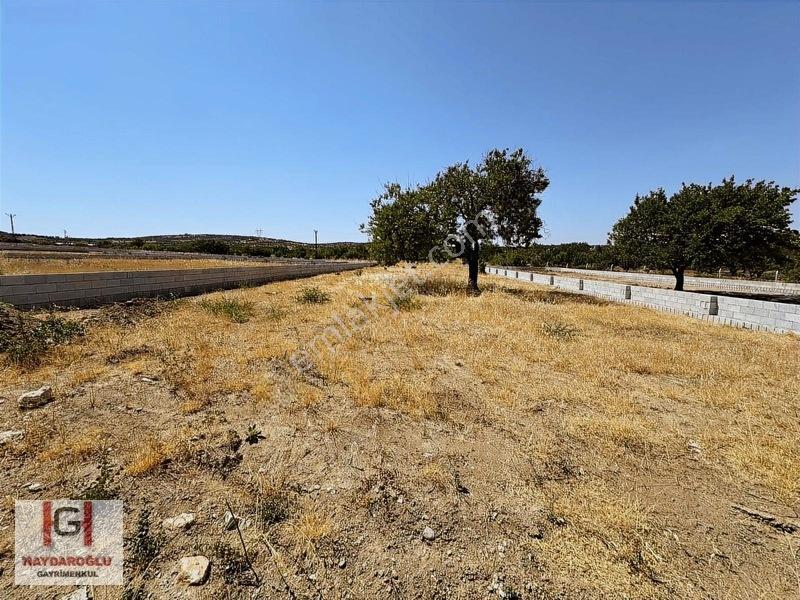Yığınlıda Satılık 1600 M2 Etrafı Çevrili Bağevlik Arazi — fotoğraf 3