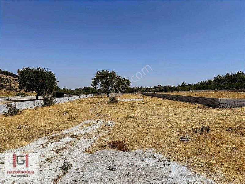 Yığınlıda Satılık 1600 M2 Etrafı Çevrili Bağevlik Arazi — fotoğraf 4