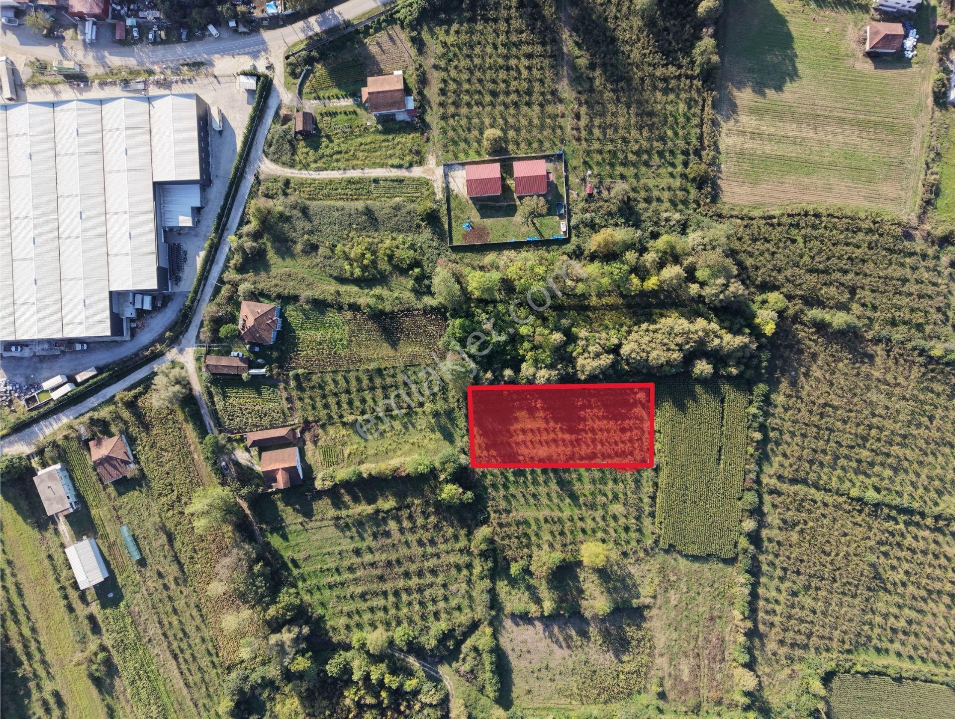 Elite Gd & D100 Ve Tem Girişine Yakın 1879 M2 Sanayi İmarlı — fotoğraf 5