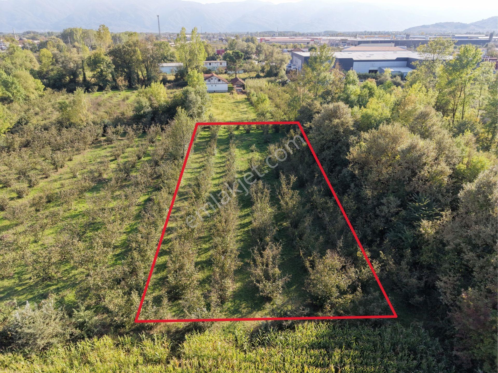 Elite Gd & D100 Ve Tem Girişine Yakın 1879 M2 Sanayi İmarlı — fotoğraf 6