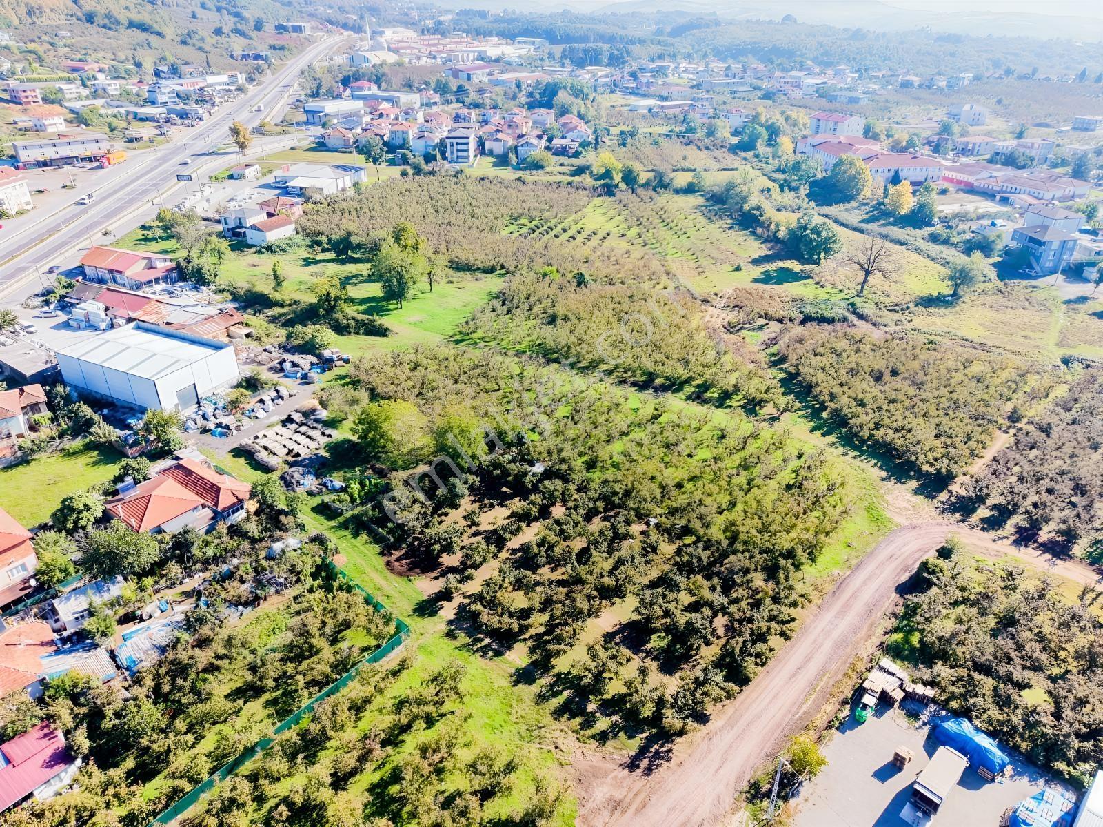 Meriç Çayrak'tan Mükemmel Konumda Satılık Arsa(açıklamada) — fotoğraf 5