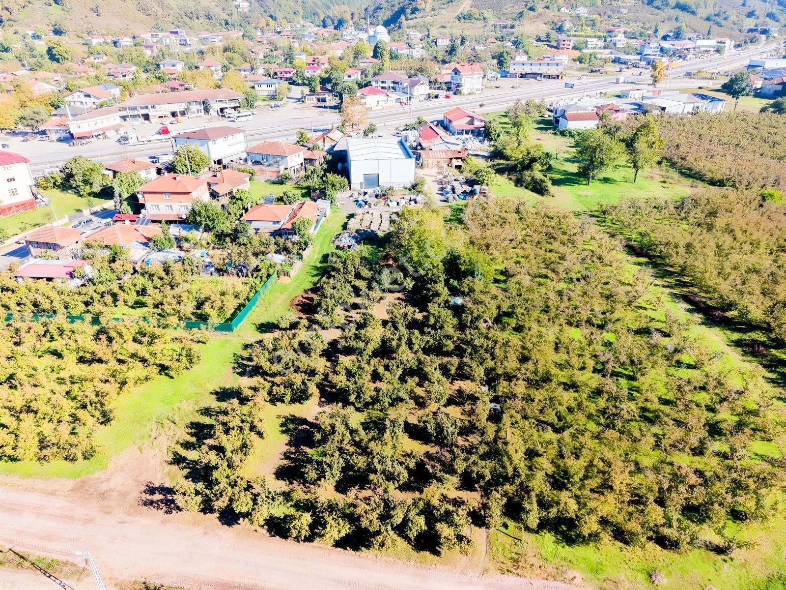Meriç Çayrak'tan Mükemmel Konumda Satılık Arsa(açıklamada) — fotoğraf 7