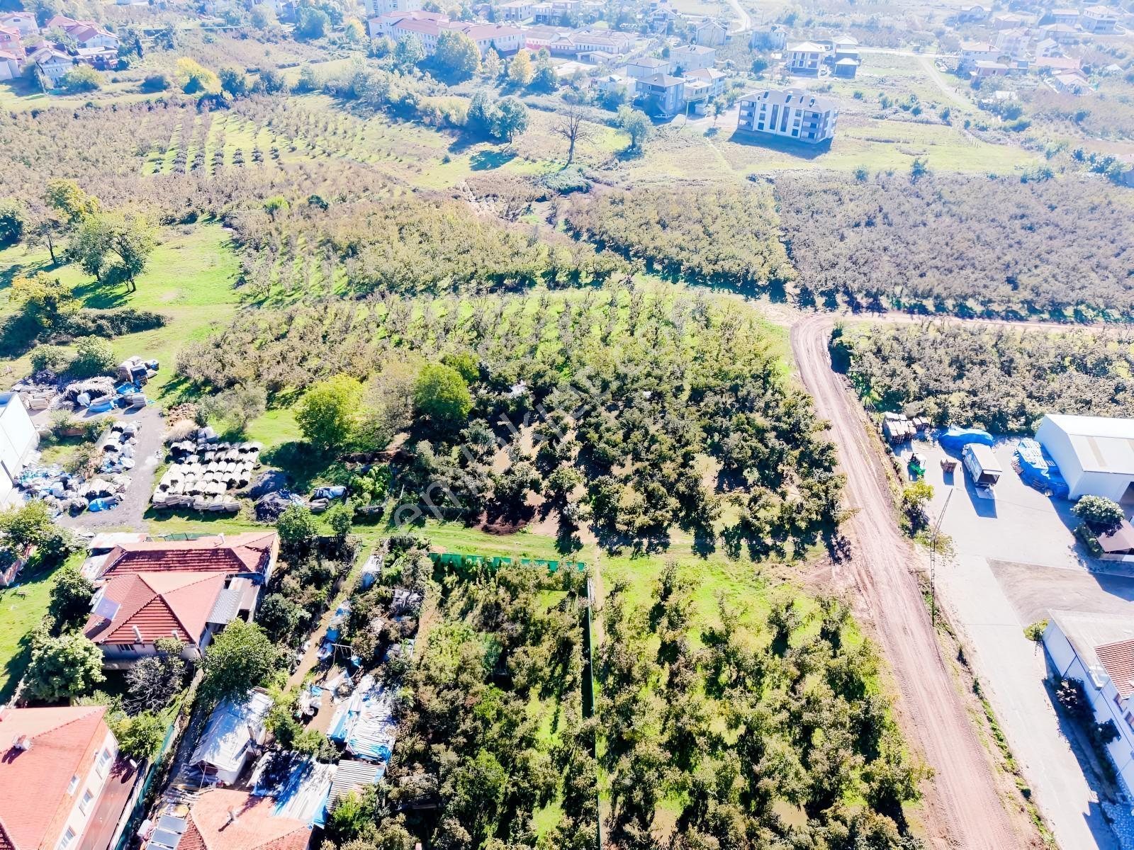 Meriç Çayrak'tan Mükemmel Konumda Satılık Arsa(açıklamada) — fotoğraf 19