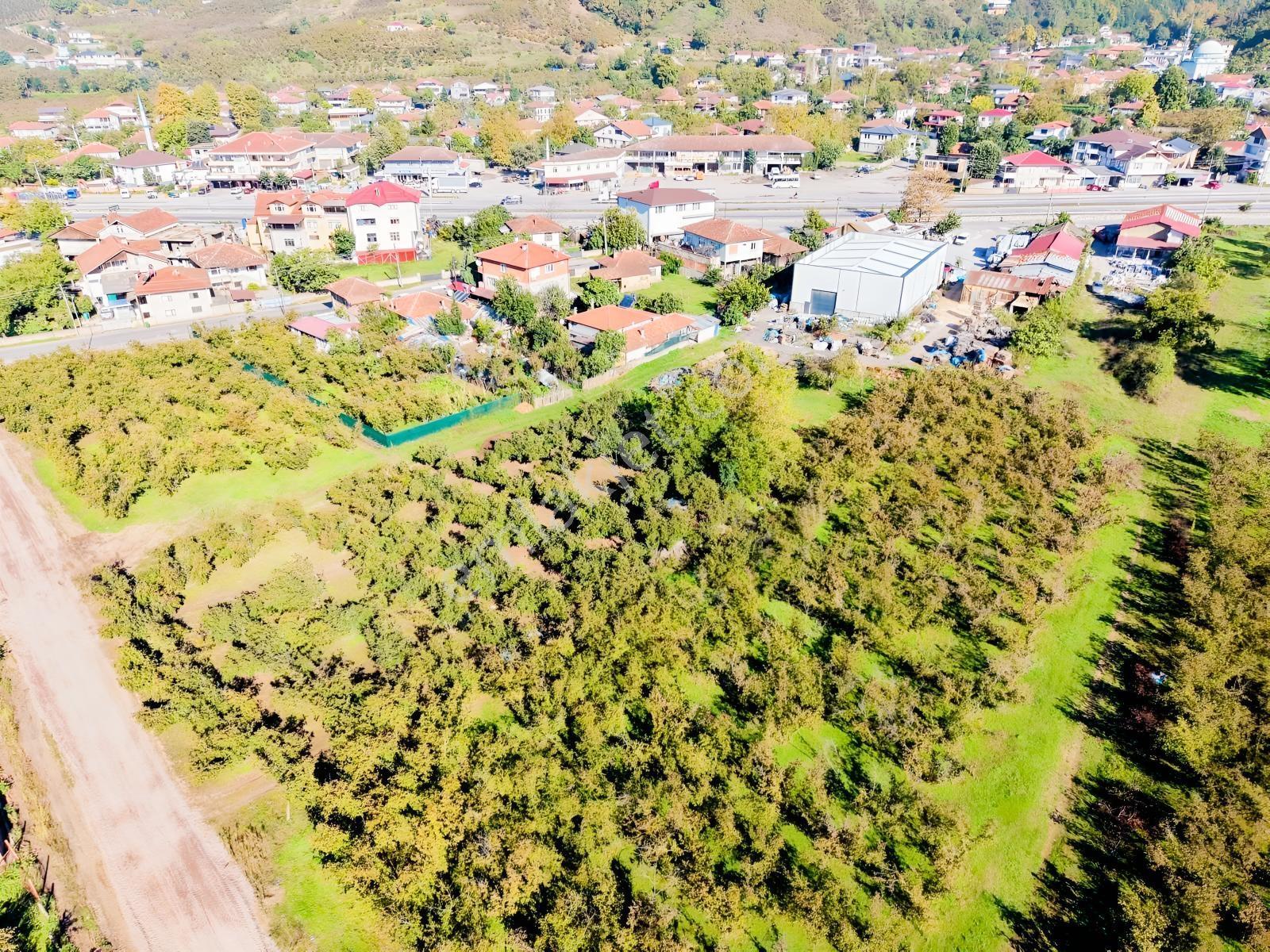 Meriç Çayrak'tan Mükemmel Konumda Satılık Arsa(açıklamada) — fotoğraf 34