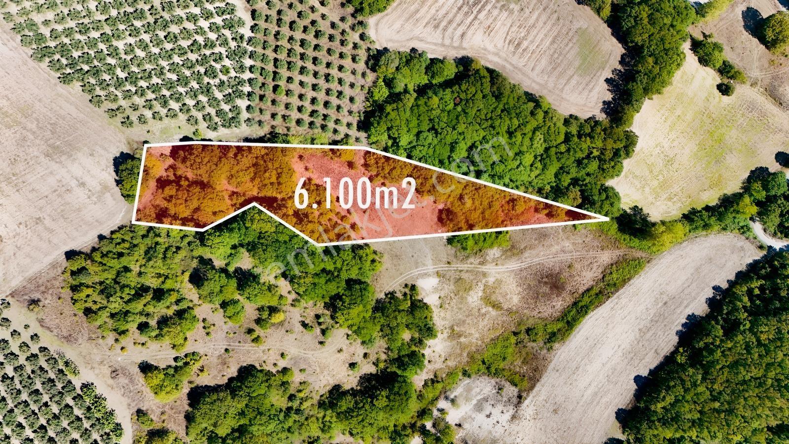 Bursa Mudanya Hançerlide 6.100 M² Satılık Tarla — fotoğraf 2