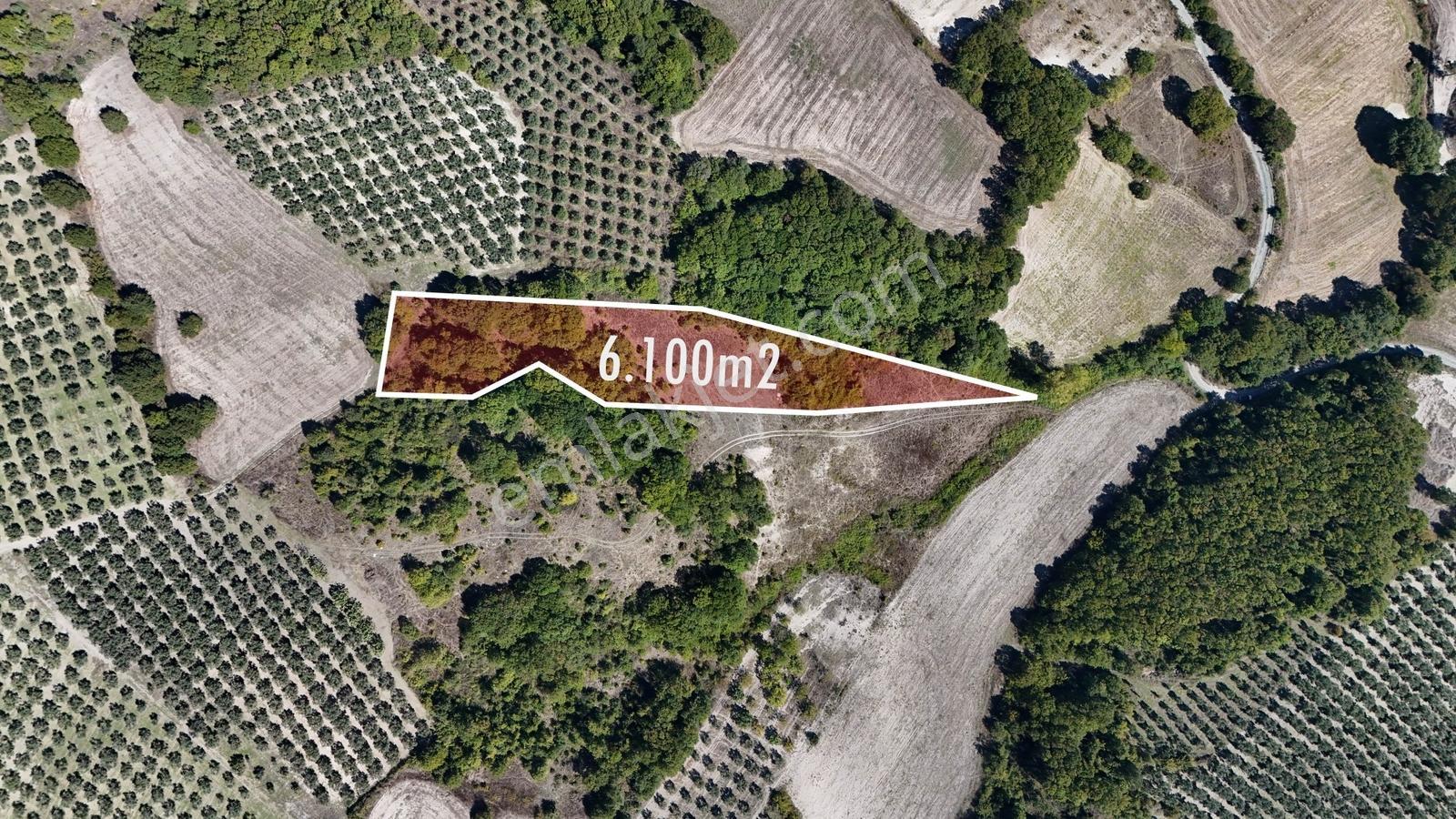 Bursa Mudanya Hançerlide 6.100 M² Satılık Tarla — fotoğraf 3