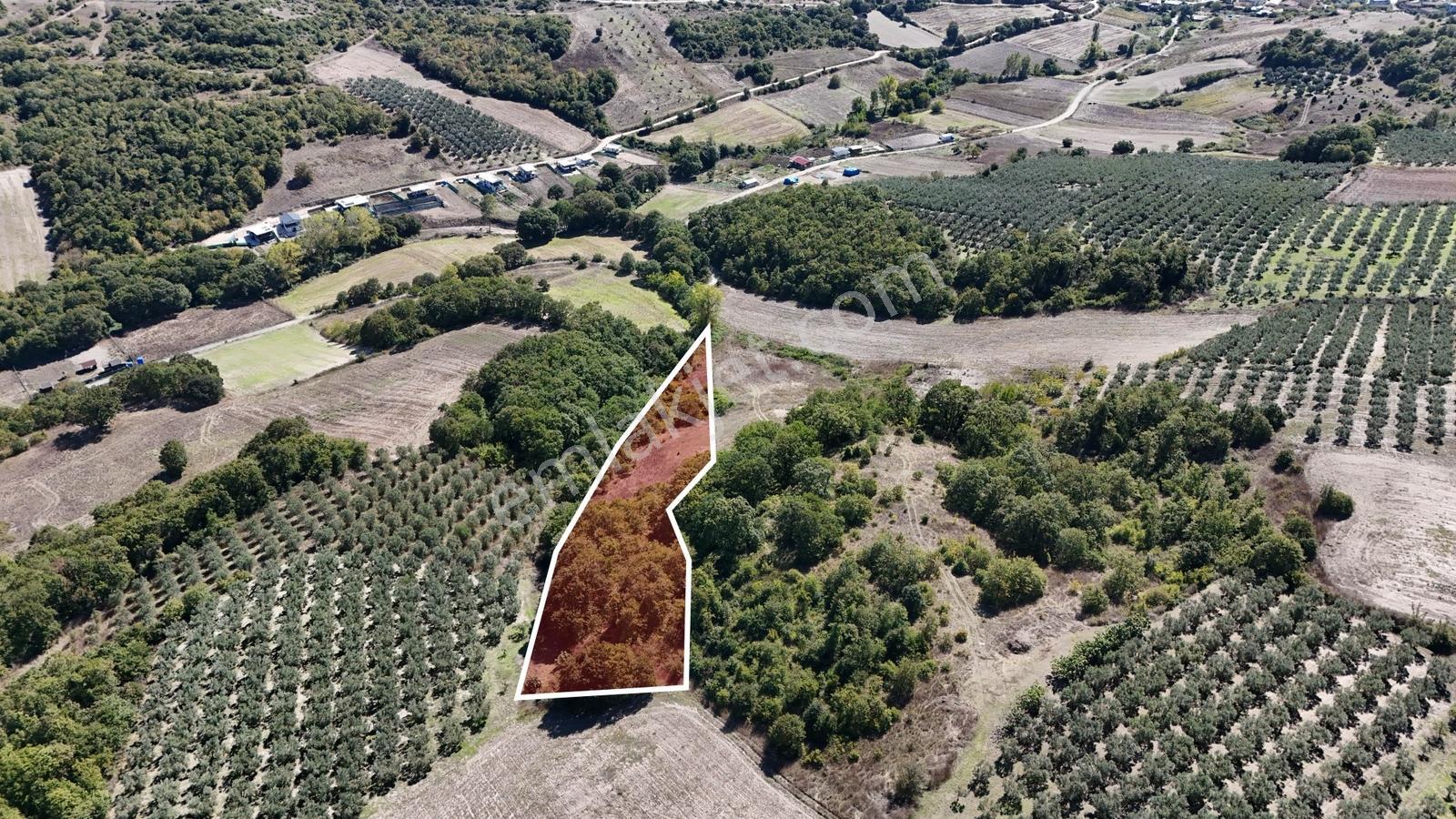 Bursa Mudanya Hançerlide 6.100 M² Satılık Tarla — fotoğraf 6