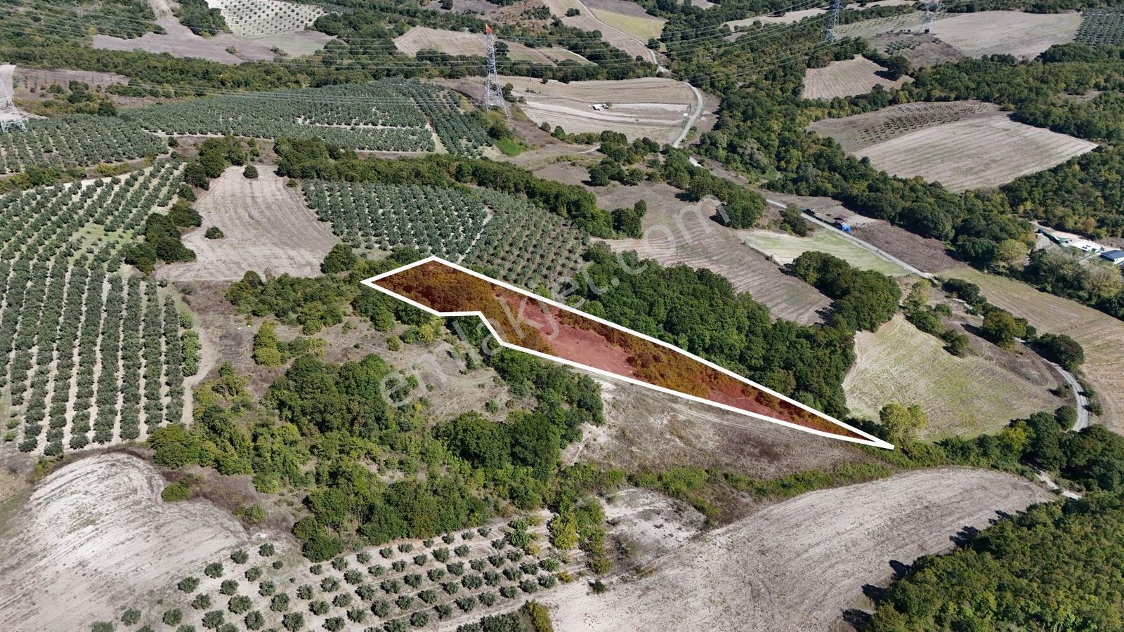 Bursa Mudanya Hançerlide 6.100 M² Satılık Tarla — fotoğraf 8