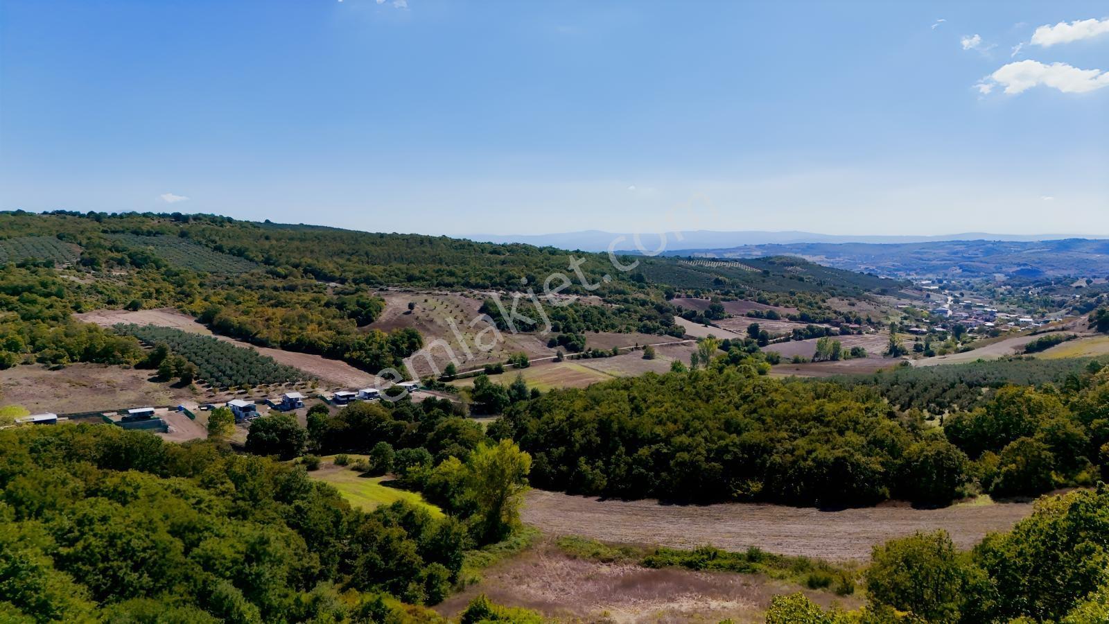 Bursa Mudanya Hançerlide 6.100 M² Satılık Tarla — fotoğraf 9